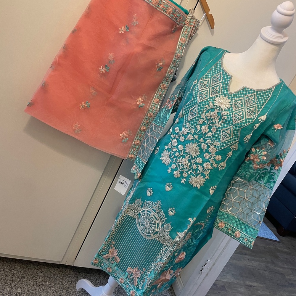 Pakistani indian sha posh ferozi organza dress